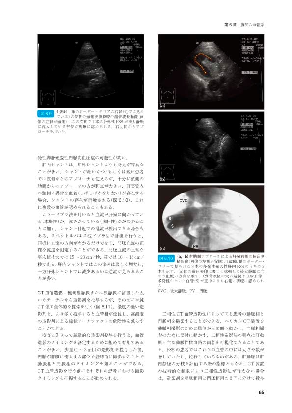 BSAVA 犬と猫の腹部画像診断マニュアル | BSAVAマニュアルシリーズ