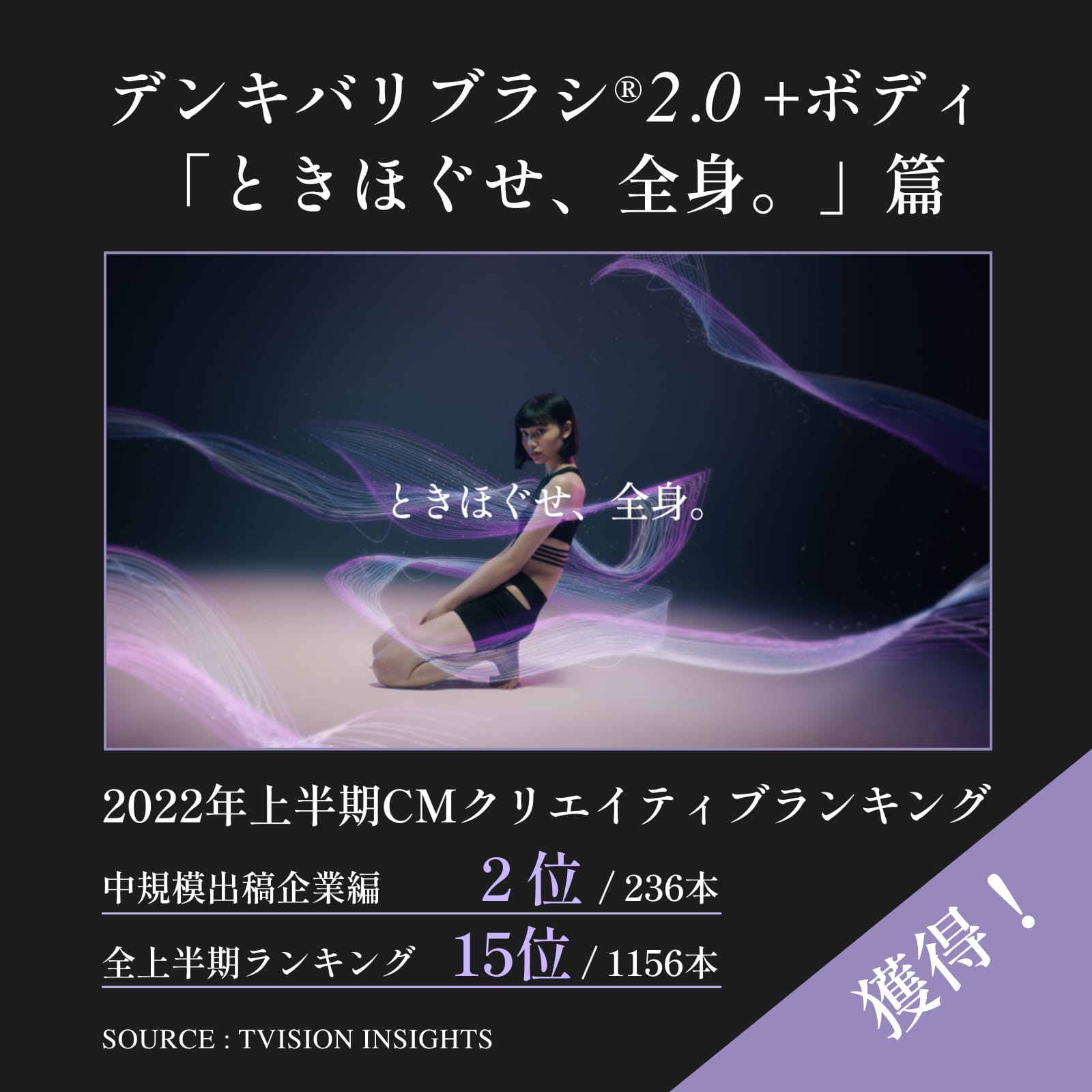 デンキバリブラシ(R) 2.0【単体モデル】 | ELECTRON ONLINE SHOP