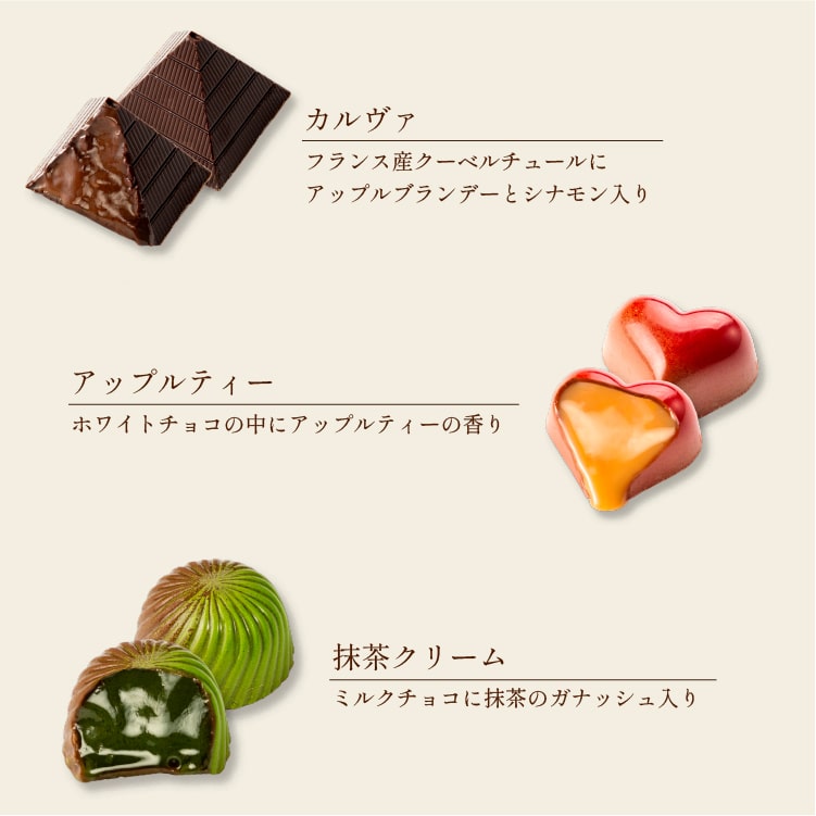 ノワールシリーズ（48個） | チョコレート | | Chocolate Shop ONLINE