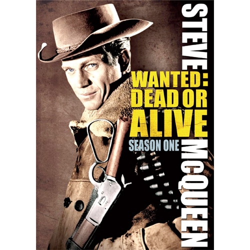 495pt還元 拳銃無宿 全巻完結 DVDBOX 5巻組 主演 スティーブ