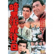 チロルの挽歌DVD2枚組 主演 高倉健 【ポイント5％還元中】 : チロルの