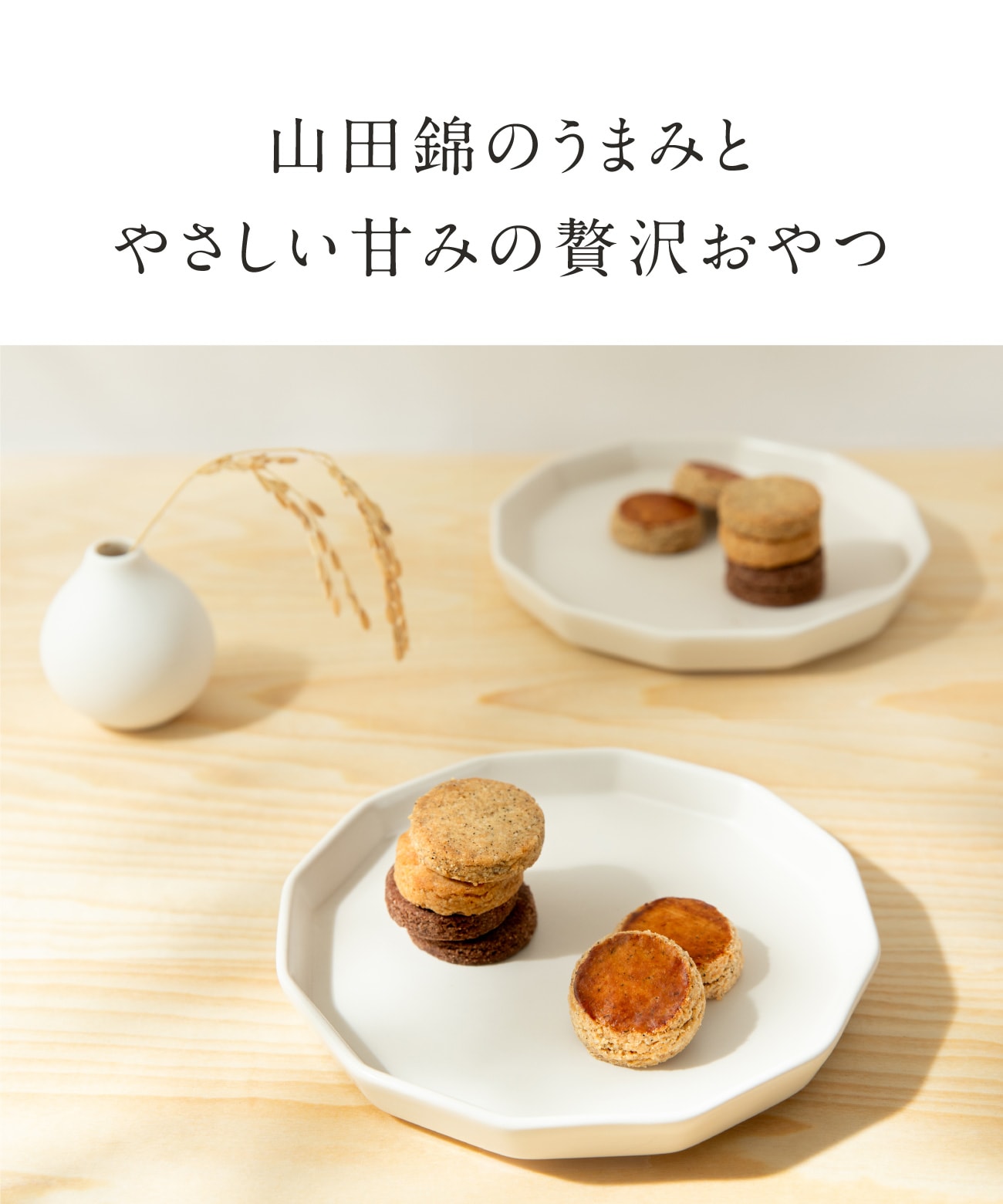 山田錦ガレット アソートボックス（4種 詰合せセット［4種×各4枚