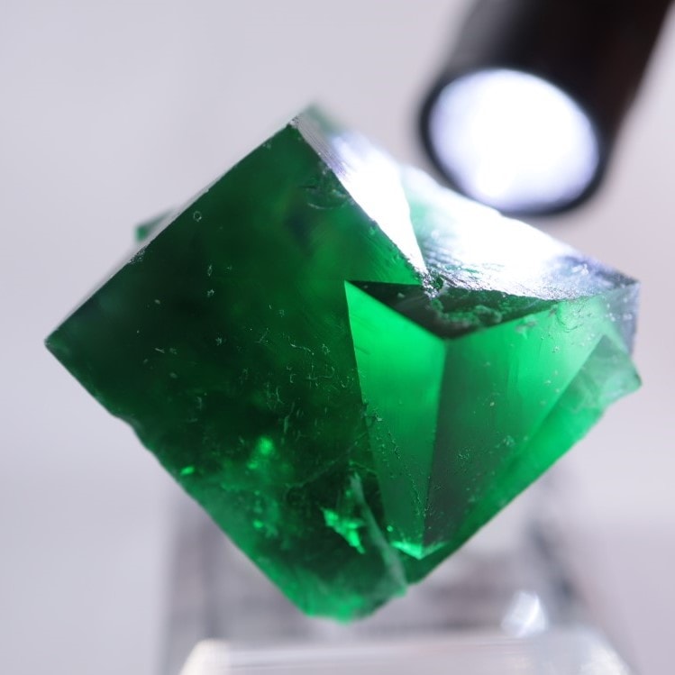 Wolfie Pocket産（ロジャリー鉱山）フローライト | 鉱物標本,ハ行