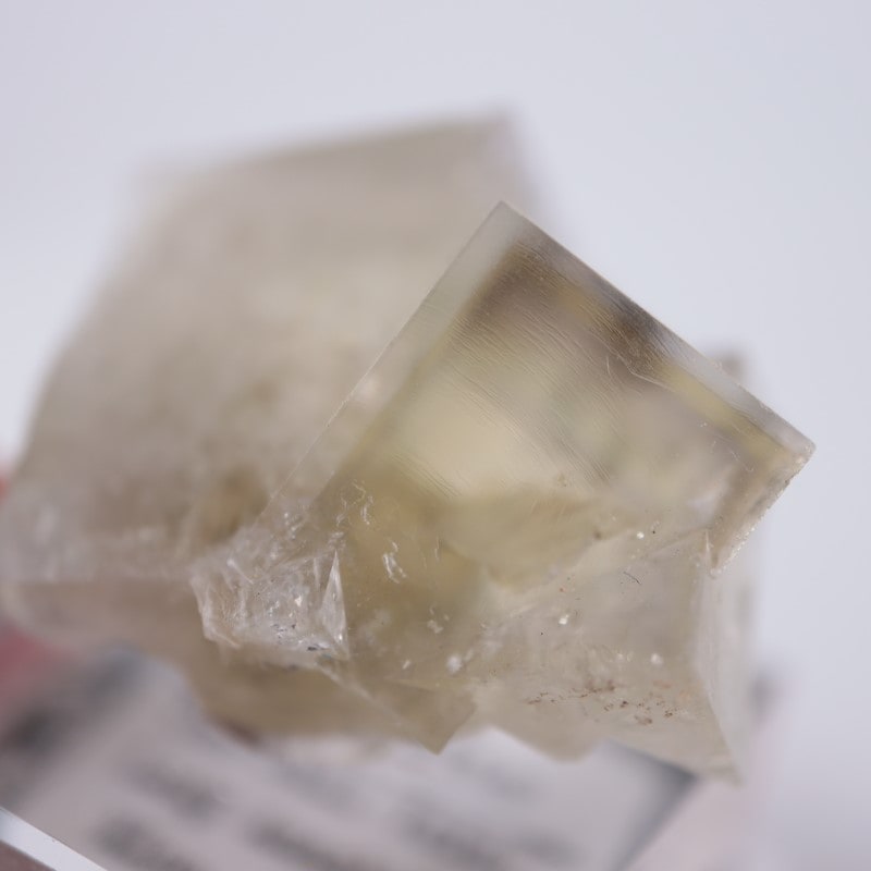 The Bull Vein フローライト | 鉱物標本,ハ行,フローライト/蛍石