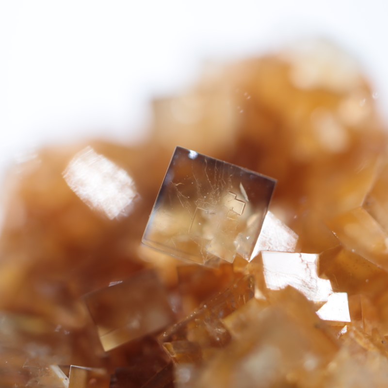 ヒルトン鉱山 フローライト | 鉱物標本,ハ行,フローライト/蛍石,フロー