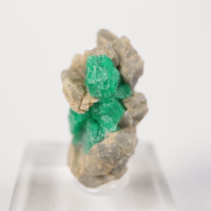 コロンビア産 エメラルド | 鉱物標本,ハ行,ベリル/緑柱石 | ほたるみ