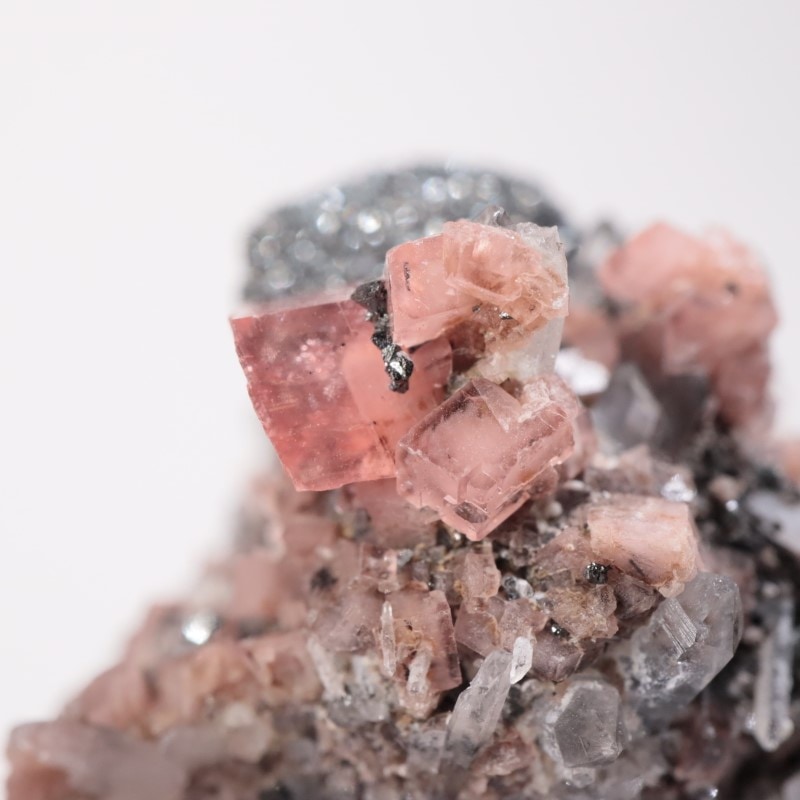 ペルー産 ロードクロサイト | 鉱物標本,ラ行,ロードクロサイト/菱