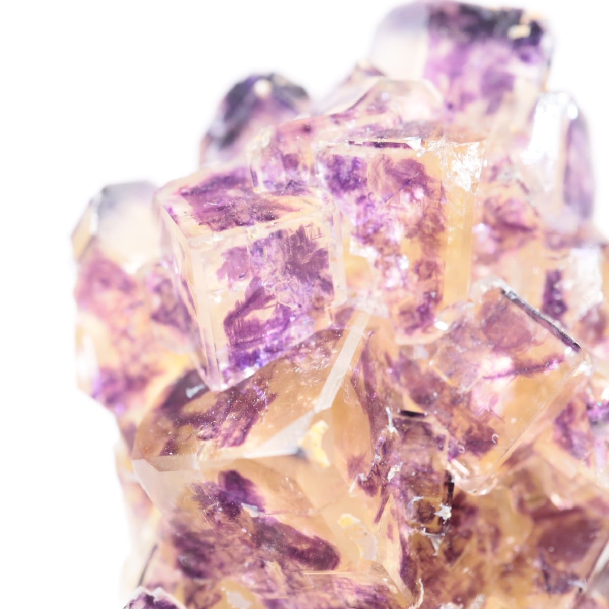 Purple Bunny Pocket産 フローライト | 鉱物標本,ハ行,フローライト/蛍