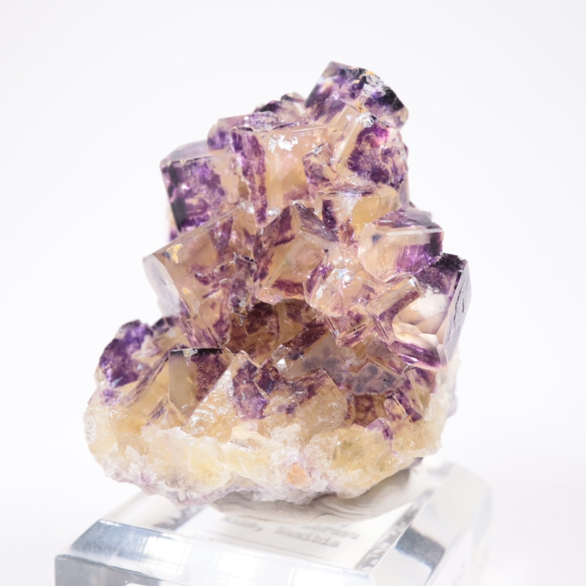 Purple Bunny Pocket産 フローライト | 鉱物標本,ハ行,フローライト/蛍