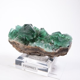 Sherry Twins Pocket産フローライト | 鉱物標本,ハ行,フローライト/蛍