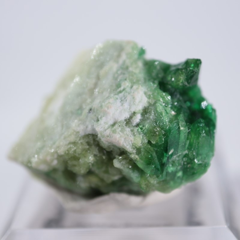 2_000000004004.jpg?1678209904