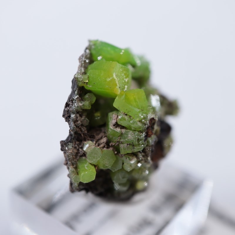 中国産 パイロモルファイト | 鉱物標本,ハ行,パイロモルファイト/緑鉛