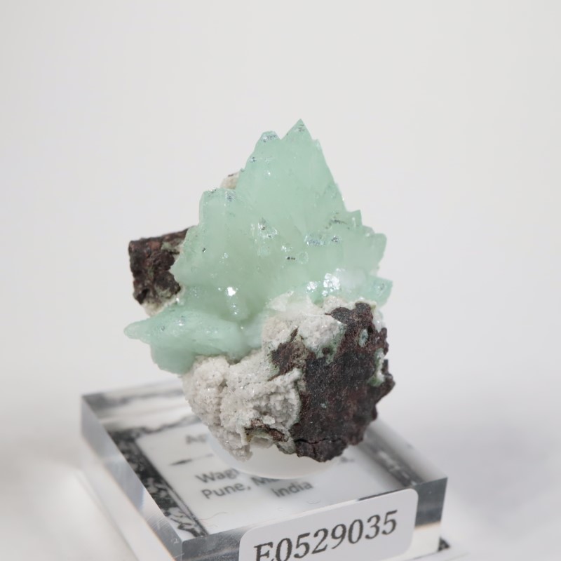 Wagholi産 アポフィライト | 鉱物標本,ア行,アポフィライト/魚眼石