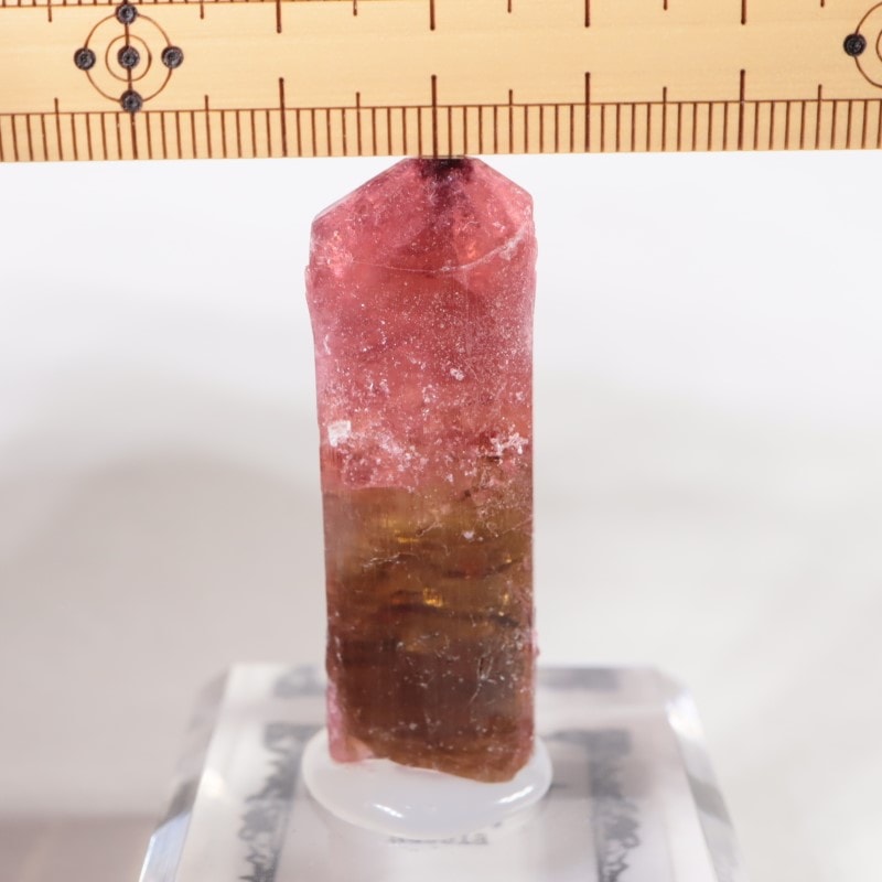 Malkhan産 ルベライトトルマリン | 鉱物標本,タ行,トルマリン/電気石