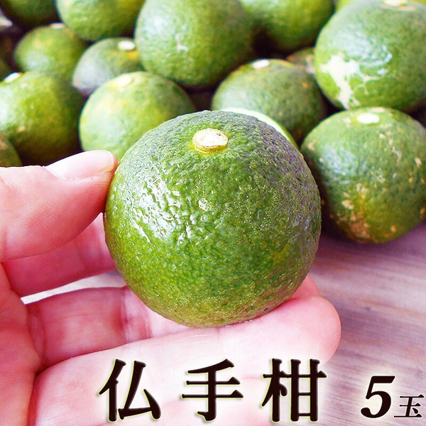 仏手柑 ぶしゅかん 5玉セット 高知産 土佐の酢みかん ご家庭用 香酸
