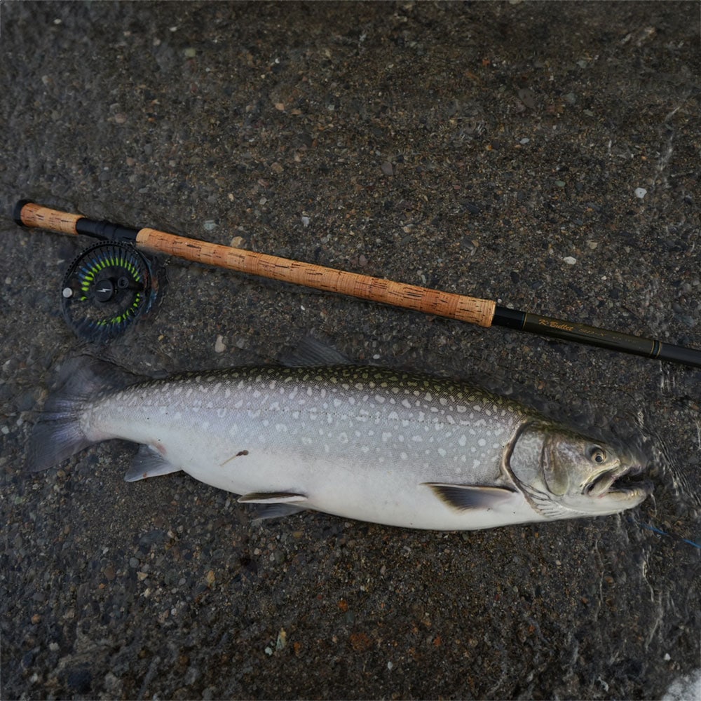 SD-X #13 (17ft) [A0002 010]