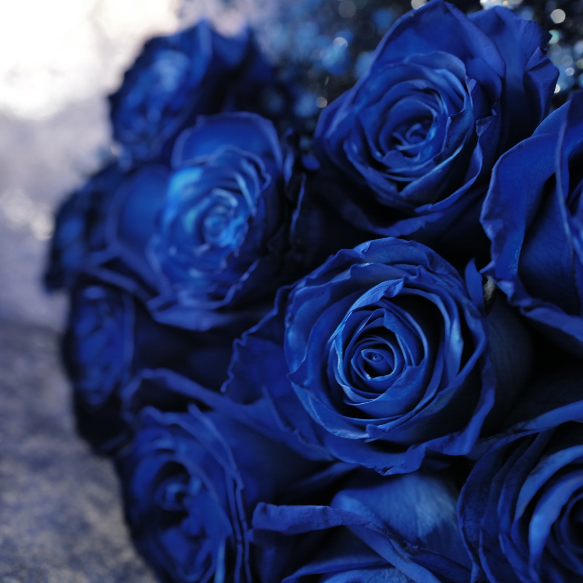 青いバラ 10本の花束 | バラ・生花,青いバラ,花束 | ROSESHOP 青いバラ