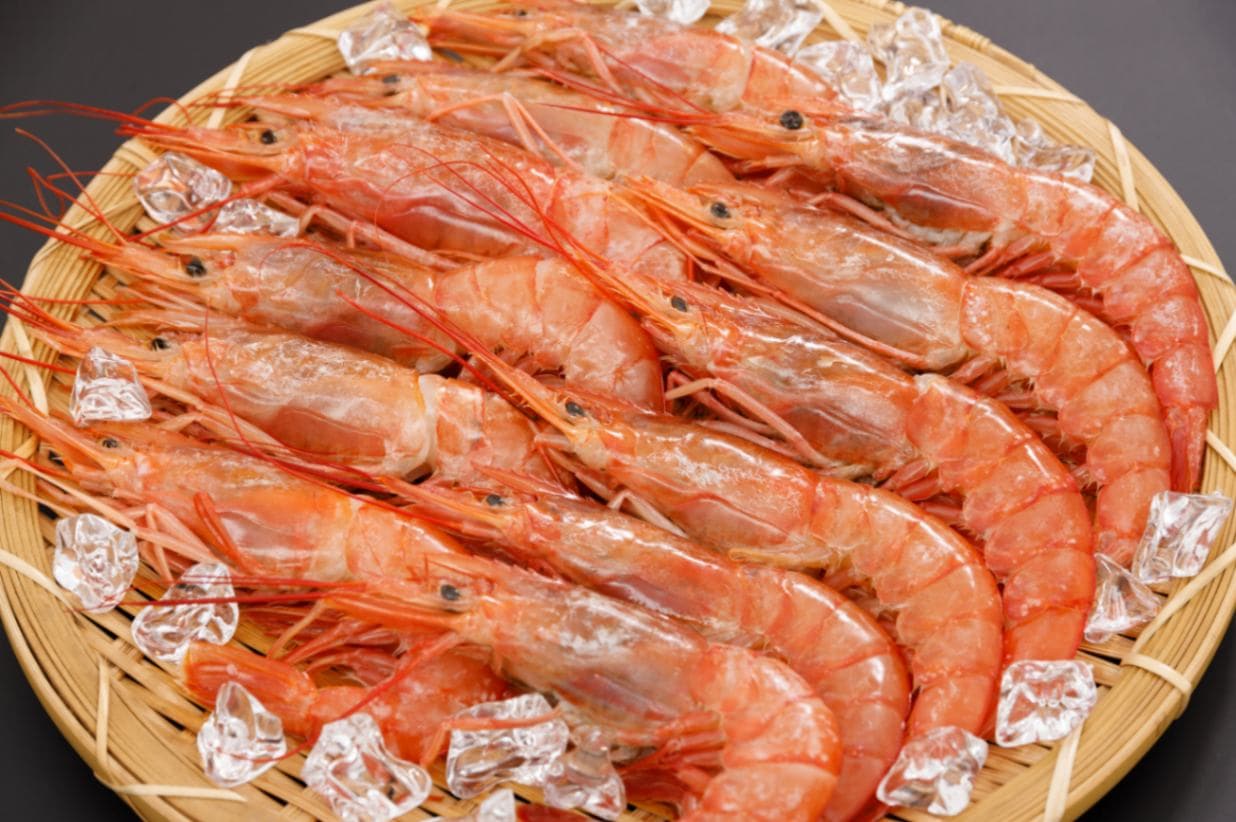 鮮度の鬼 アルゼンチン赤海老 2kg | カテゴリー,えび | 鮮度の鬼