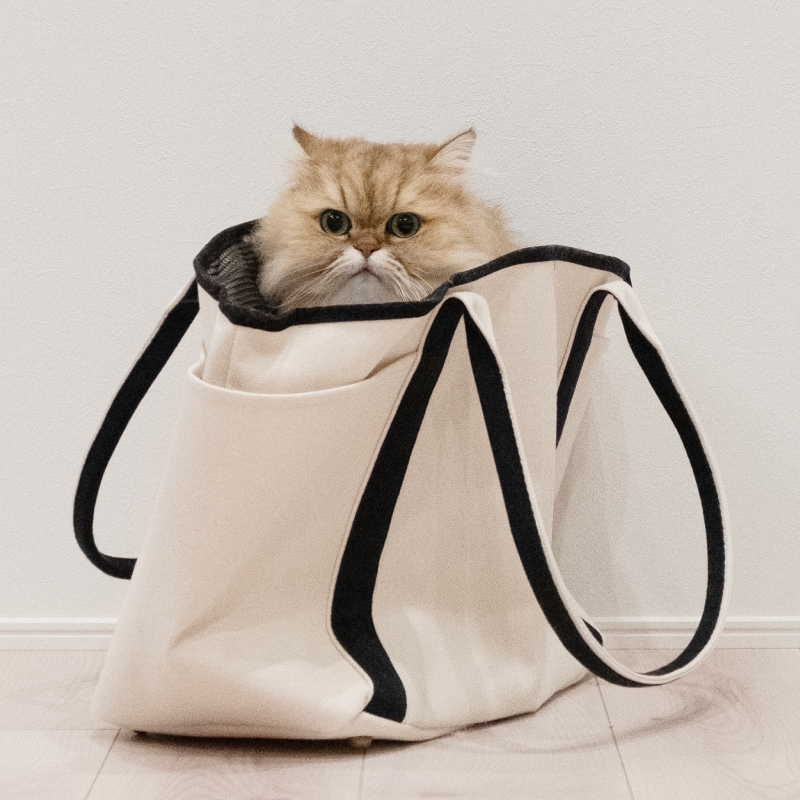 ワンチャン猫ちゃん用キャリーバック ＜トートタイプ＞ | ペット
