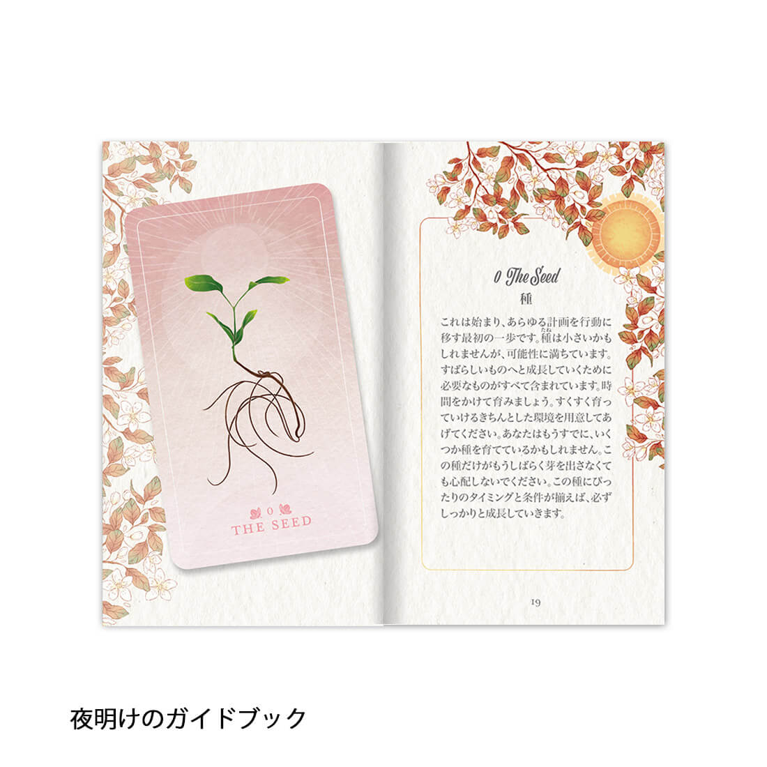 シード＆シックルオラクル｜ライトワークス