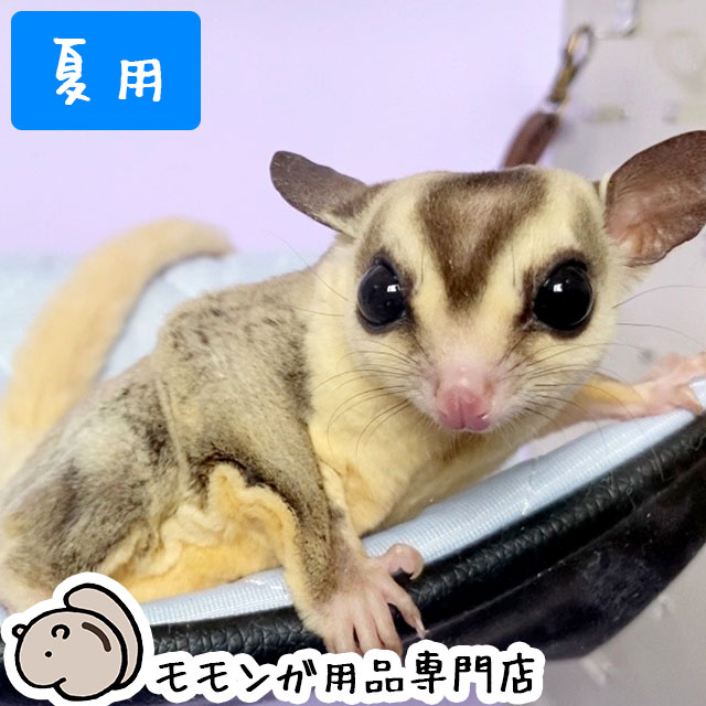 本店限定価格】ゆうパケットOK ももんがもんもん共和国オリジナル