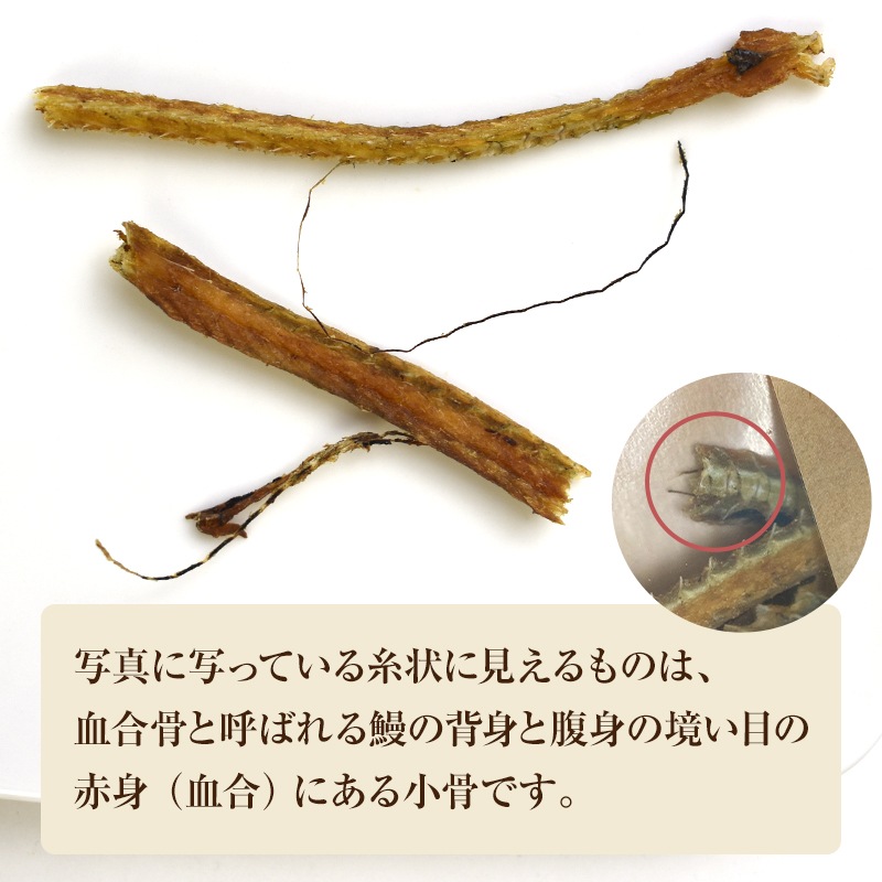 うなぎいぬ★オーダーページ★ アクリルスタンド / ウナギイヌのトモダチ！ / The TOMODACHI！