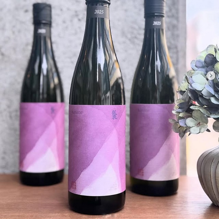 1_000000002590.jpg?1754620236