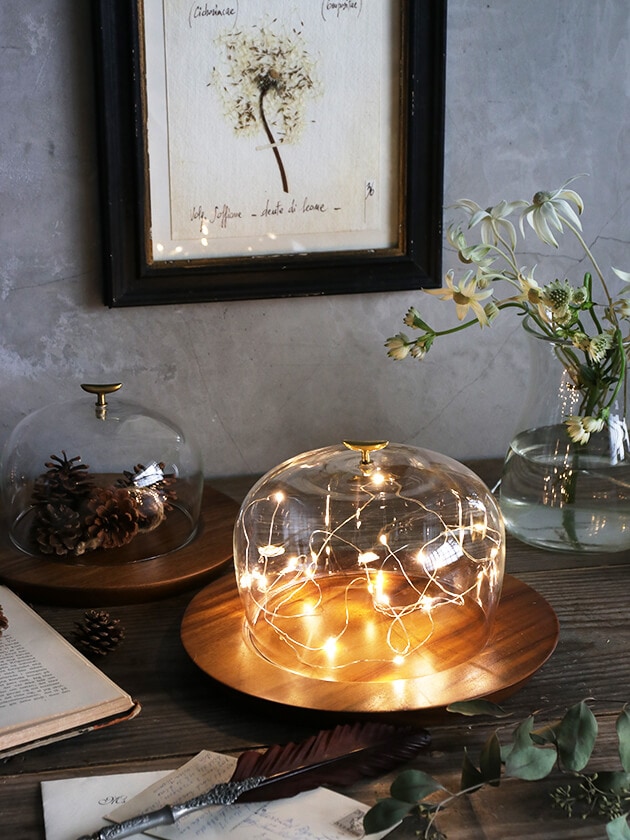 ガラスドームSeed