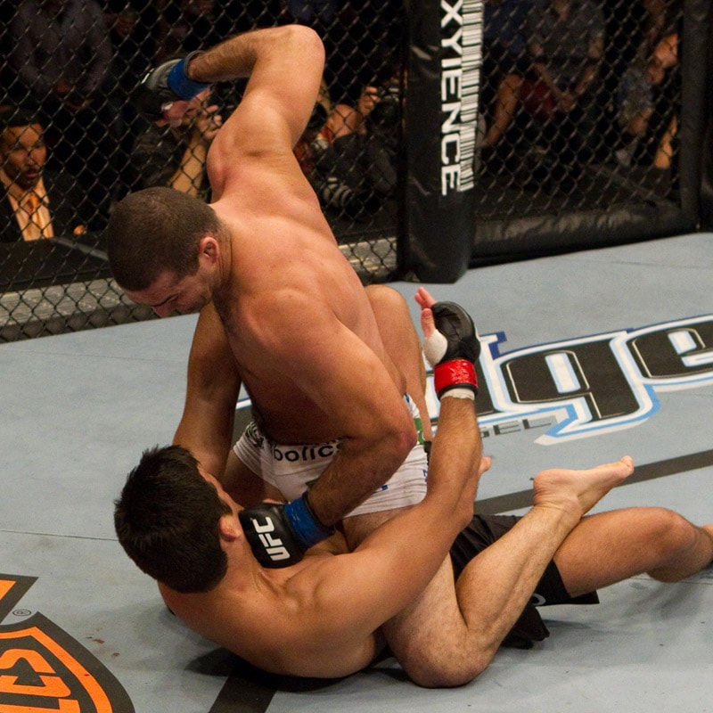 UFC DVD総合格闘技【ULTIMATE KNOCKOUTS 8】ショウグン、ミノタウロ