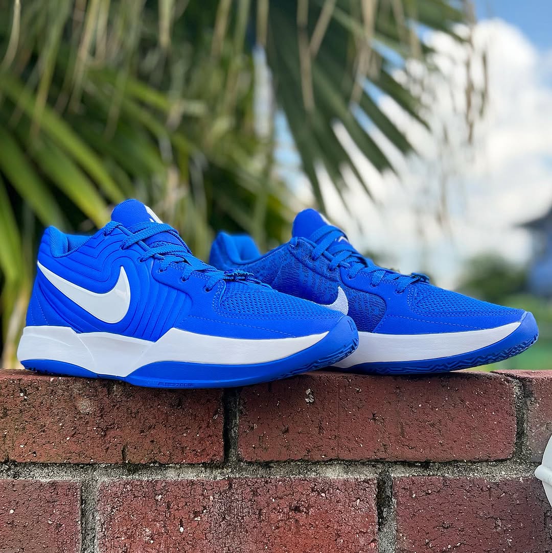 NIKE JA 2 EP TB ナイキ ジャ 2 ジャ モラント 【MEN'S】 royal blue