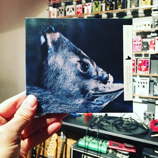 toe / The Book About My Idle Plot Ona Vague Anxiety CD | STIFF