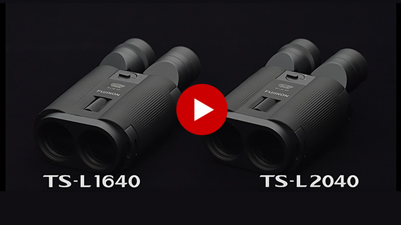 フジノン 双眼鏡 FUJINON TECHNO-STABI TS-L 2040: 双眼鏡 | フジ