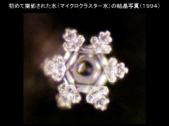 水からの伝言』 – オフィス・マサル・エモト