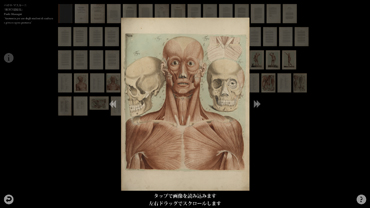 博物図譜とデジタルアーカイブ: デジタルアーカイブ