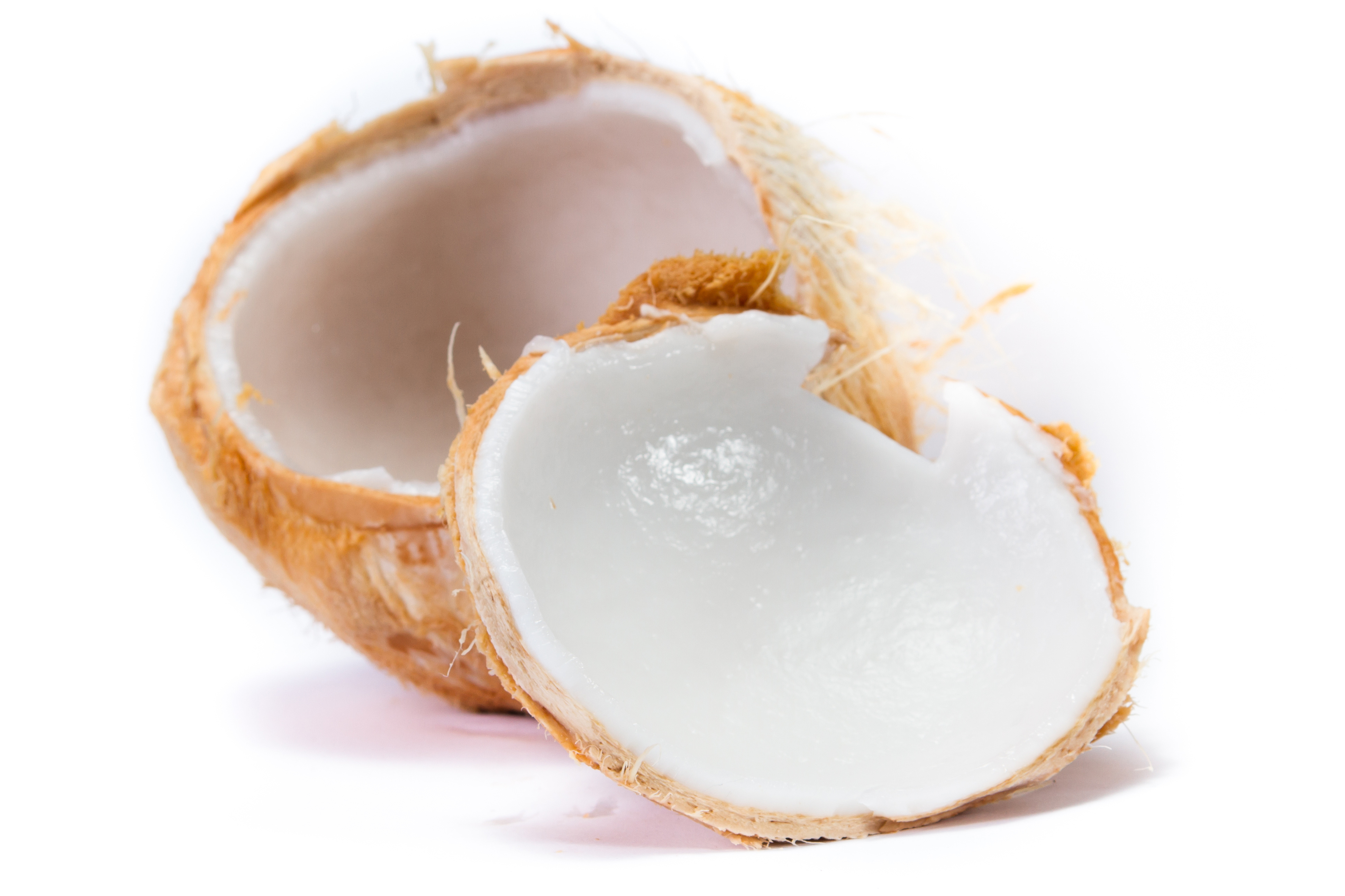 いのちの雫 （株）生活科学研究会 | SKK