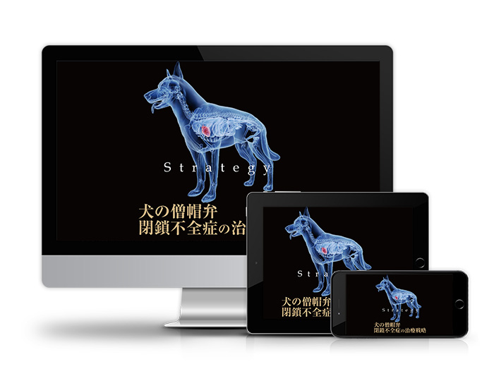 犬の僧帽弁閉鎖不全症の治療戦略 | 医療情報研究所 DVD教材ストア