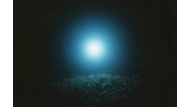 Rika Noguchi Solo Exhibition | Art in Tokyo