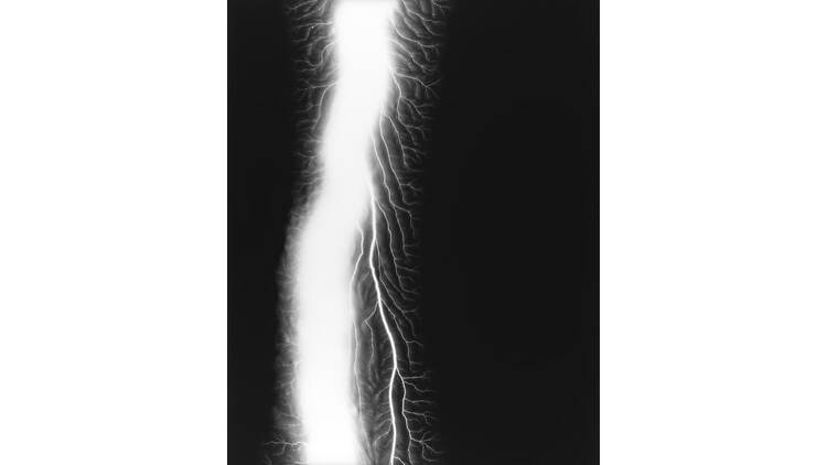 Hiroshi Sugimoto: Extinction | The National Museum of Modern Art