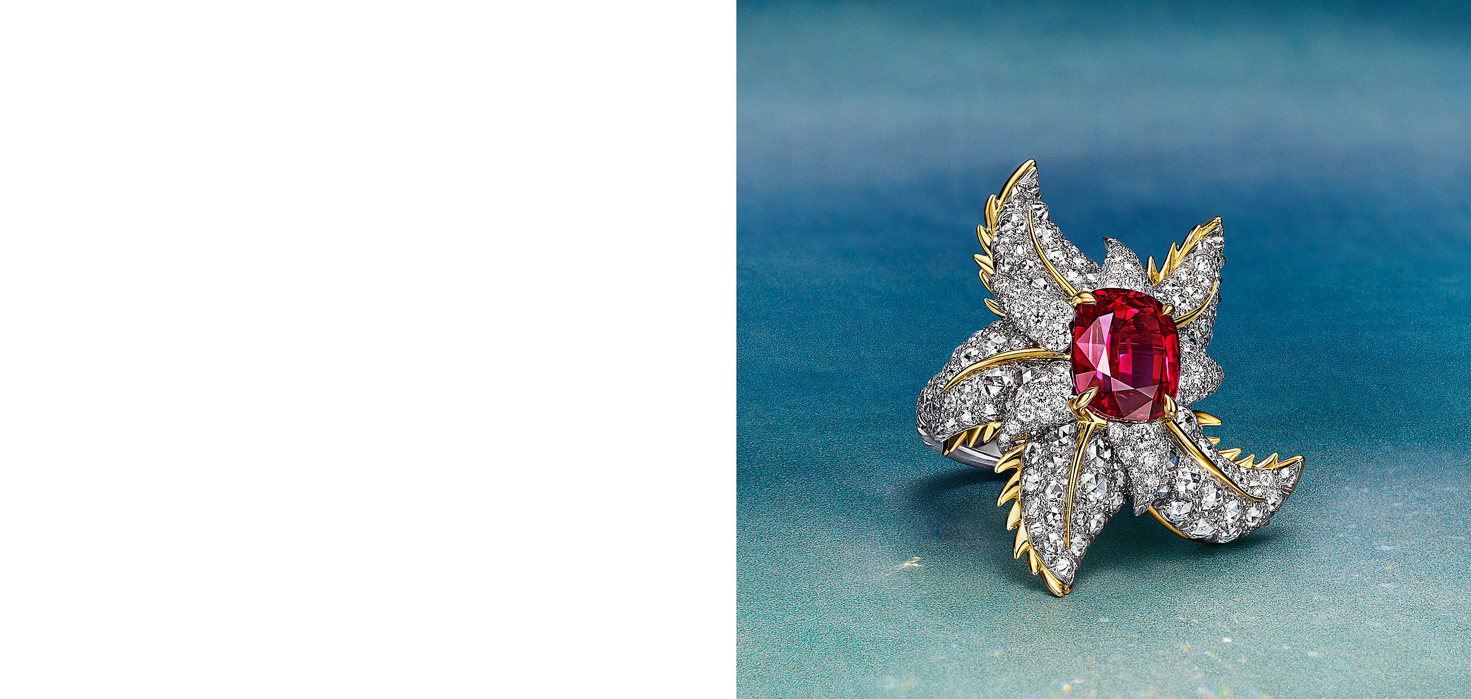 スターフィッシュ シリーズ—2025 ハイジュエリー コレクション