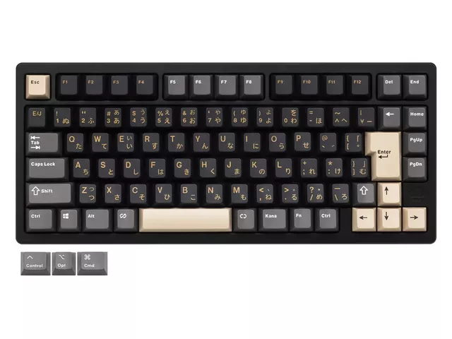 ARCHISS ARCHISS Maestro TKL メカニカル テンキーレスキーボード 日本
