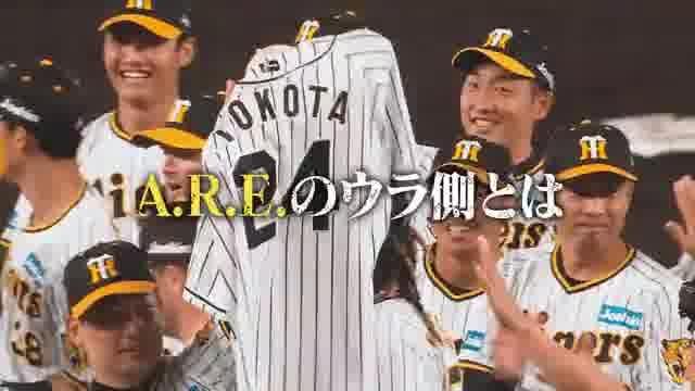 阪神タイガース THE MOVIE 2023 栄光のAREの予告編・動画「本予告