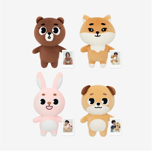 jp.ktown4u.com : DAY6 - [Special Concert 'The Present' MD