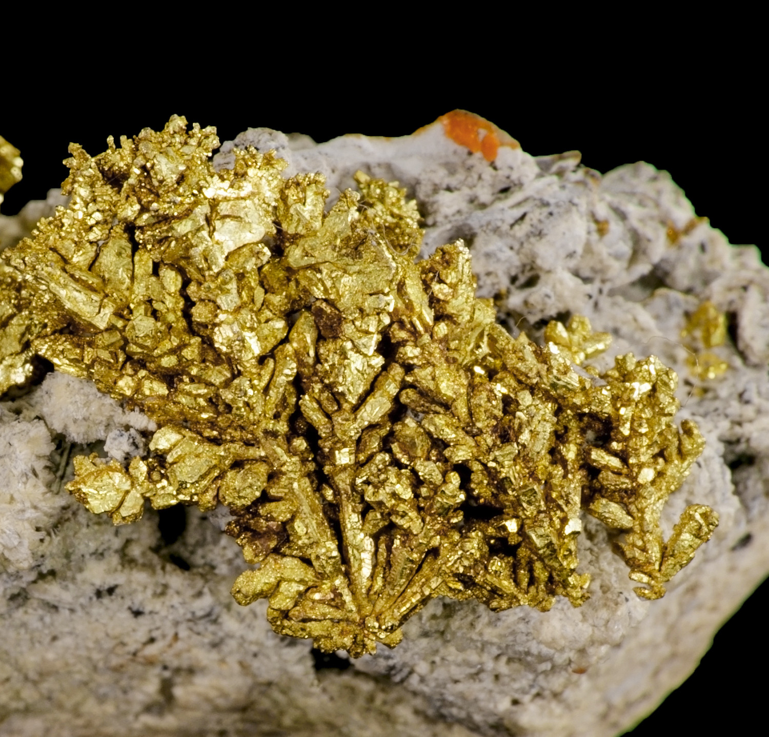 historic Gold on matrix | Dixie Mine, Lamartine Mining Dist