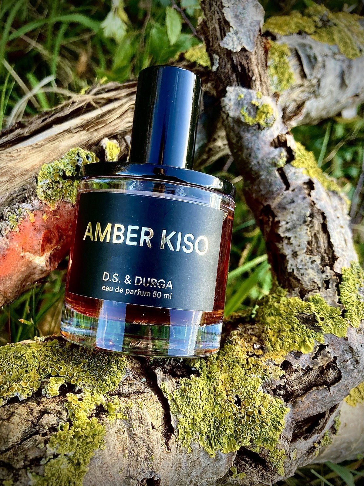 Amber Kiso by D.S. & Durga » Reviews & Perfume Facts