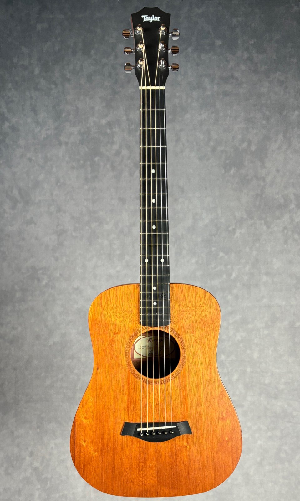 Used Baby Taylor 305-M