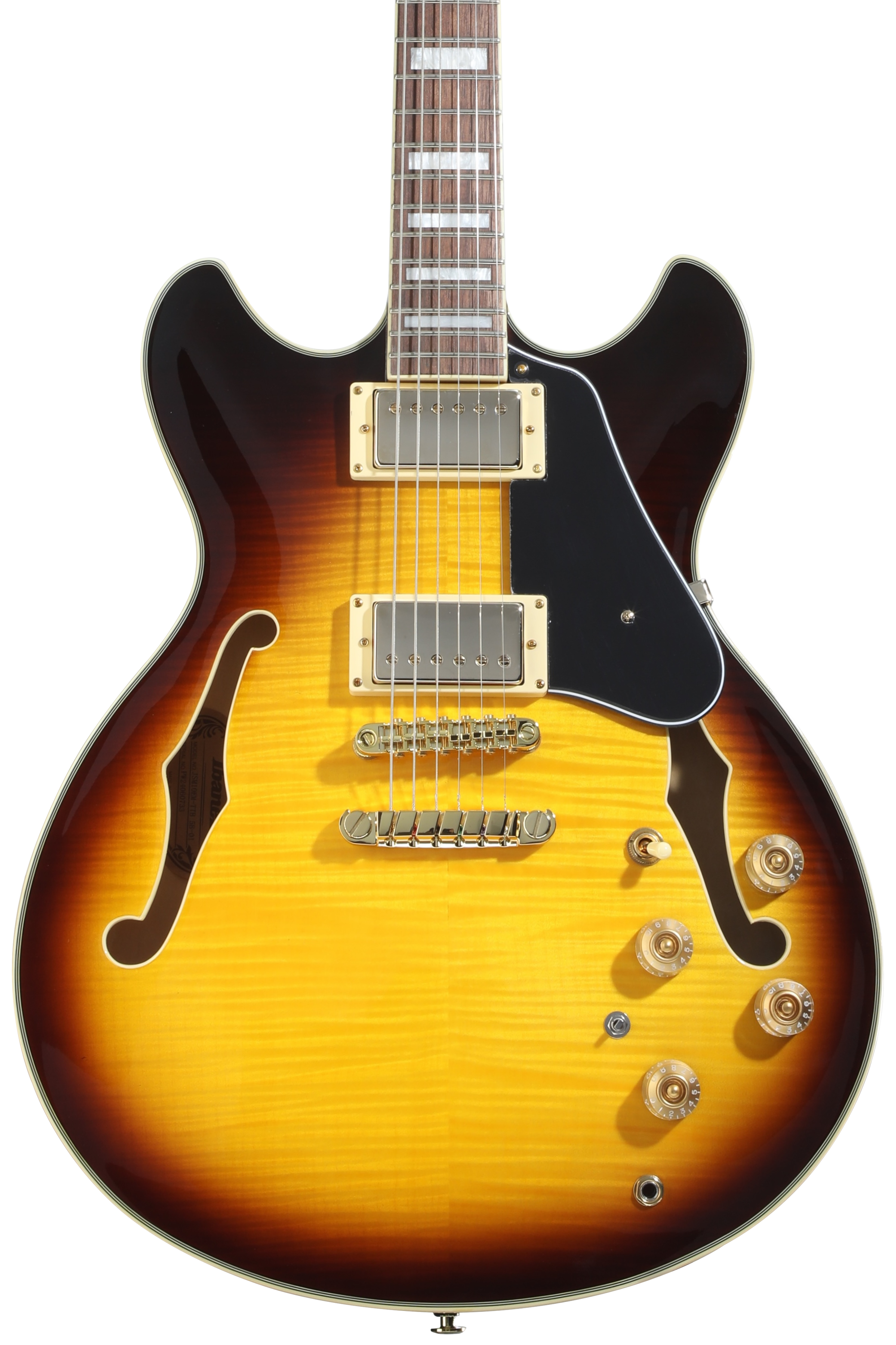 Ibanez JSM10EM John Scofield Signature Semi-hollowbody Electric