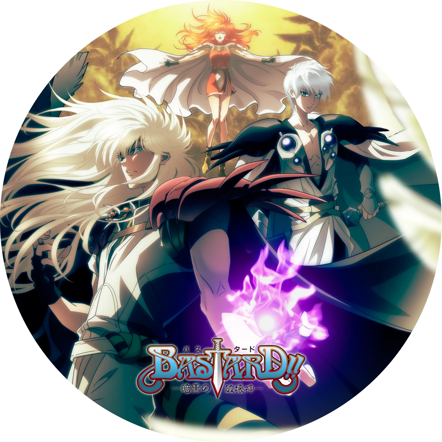BASTARD!! 暗黒の破壊神 ” の DVDラベルです | meechanmama(みーちゃん