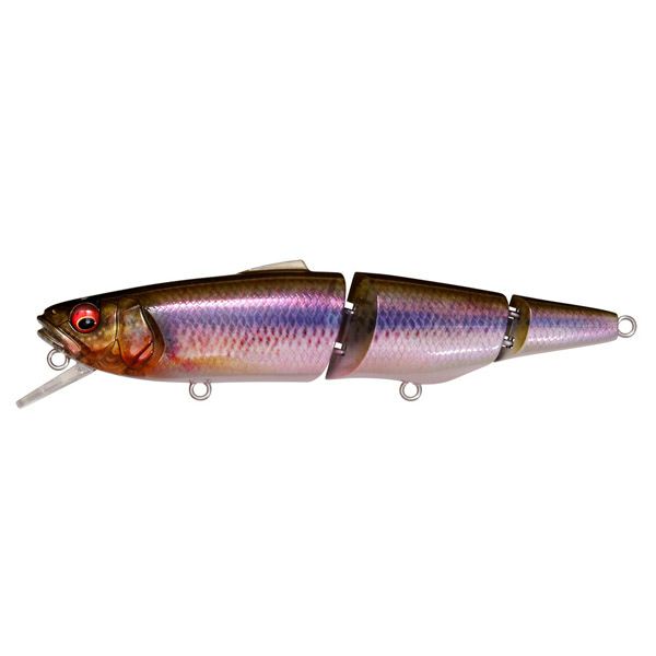 000000018527-01-l.jpg?t=