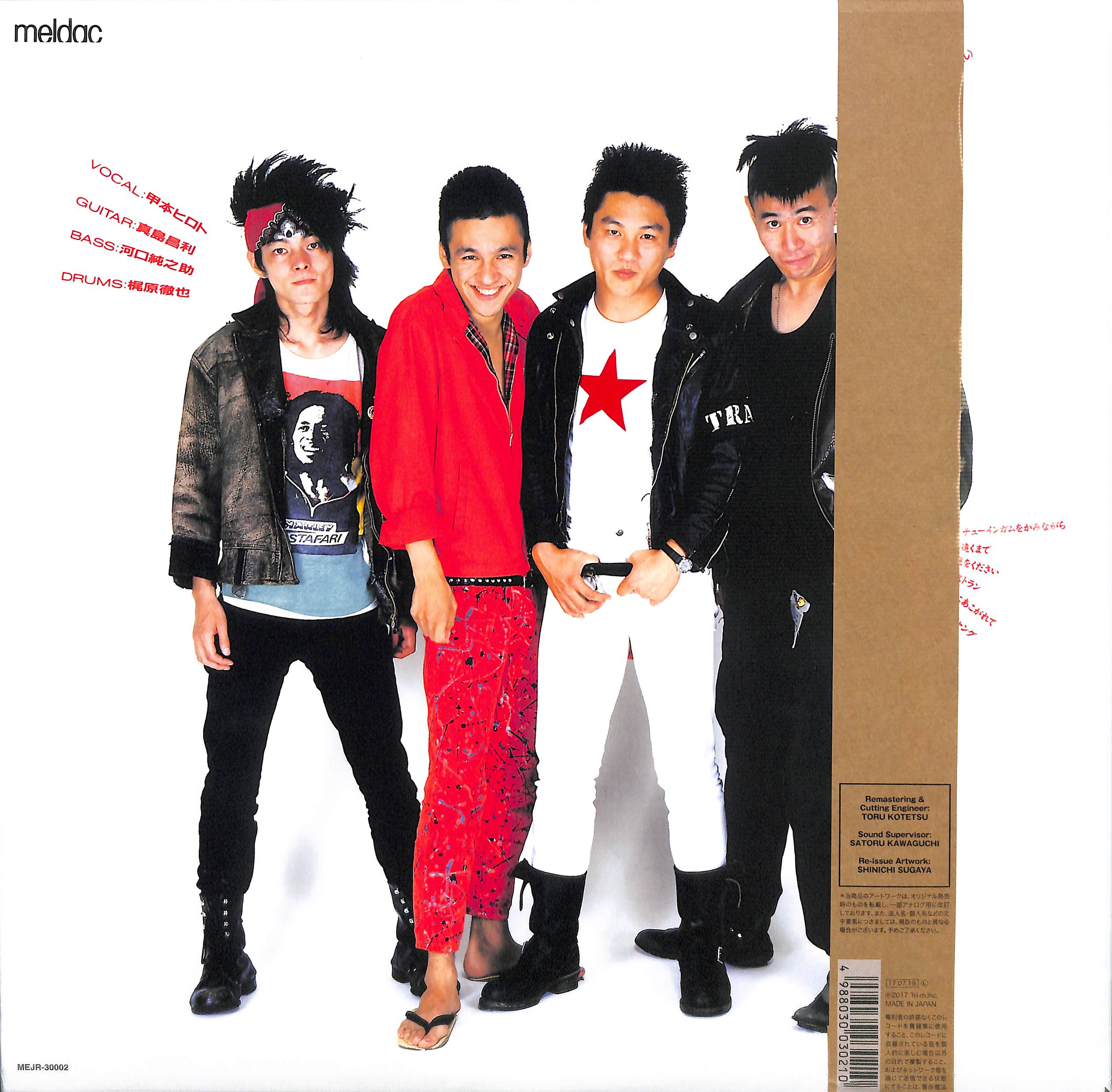 芽瑠璃堂 ＞ BLUE HEARTS 『Young And Pretty (LP) (アナログ盤