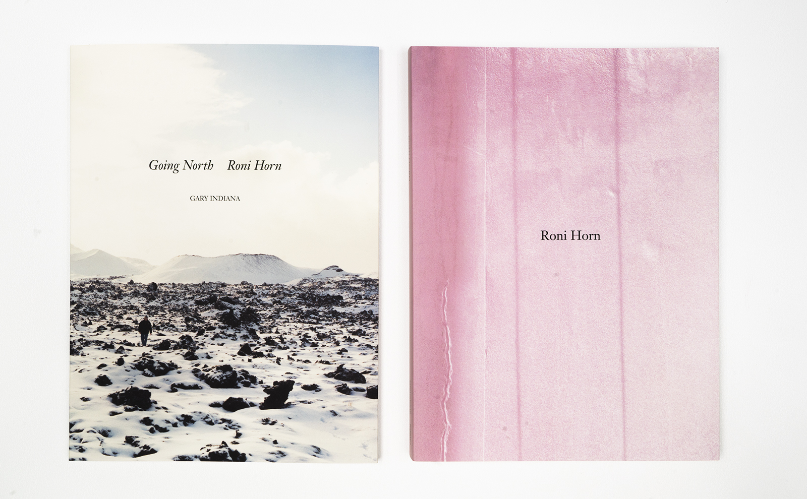 Roni Horn - Glenstone Foundation - Meridian Printing